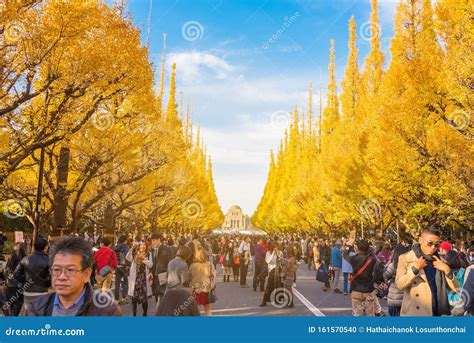 秋為何要去東京：探索秋季的東京魅力